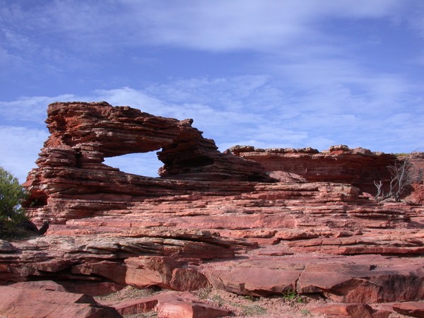 Nature's Window